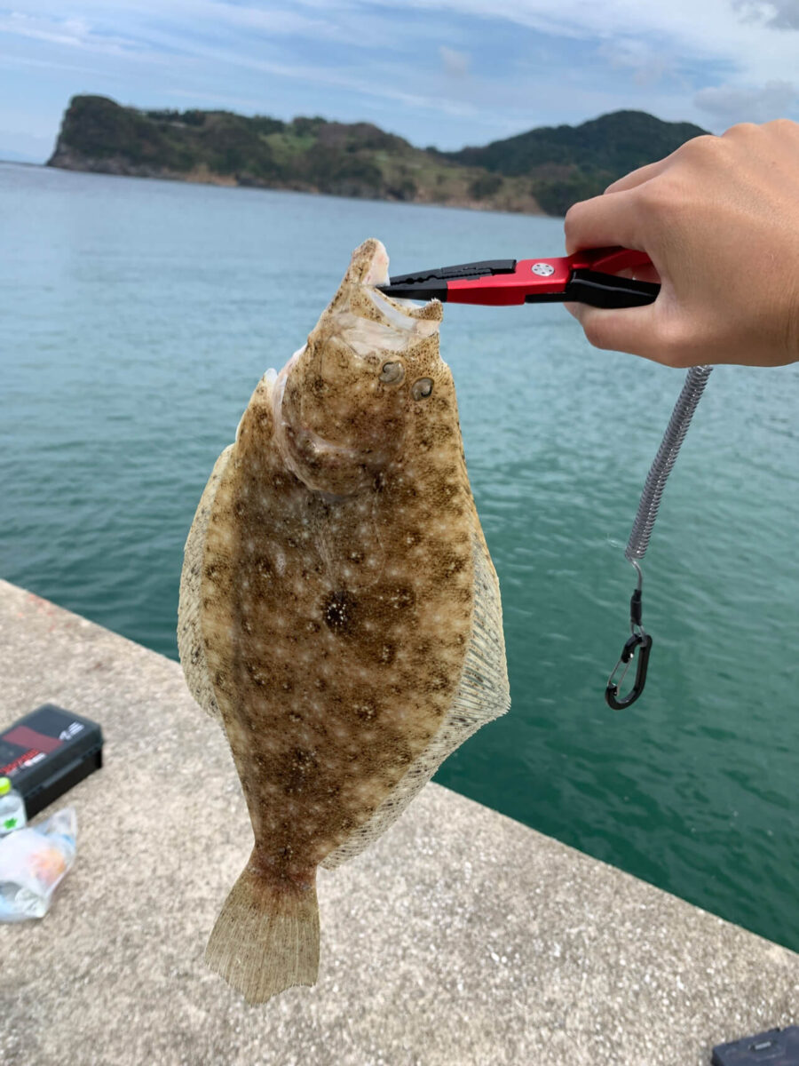 ヒラメ釣り