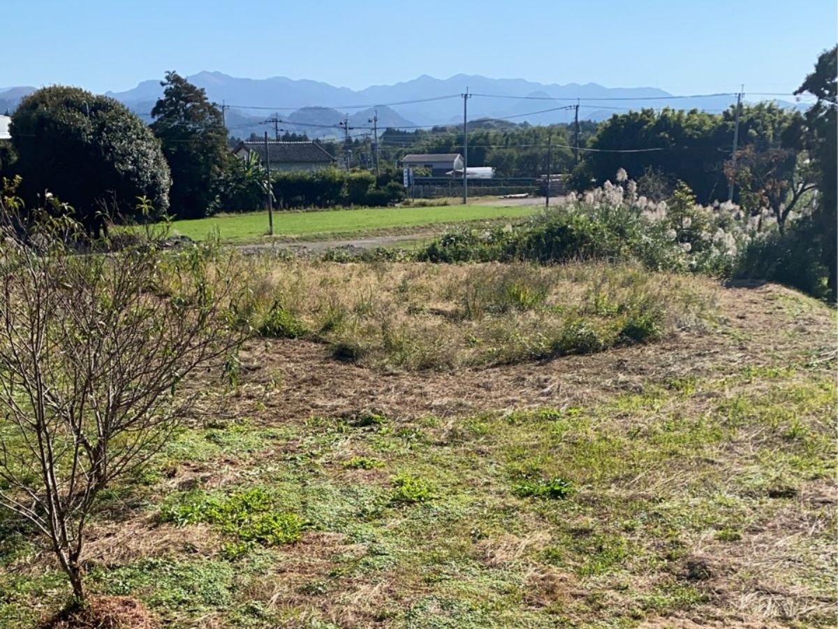 “第二段：きれいになった後の庭の様子”