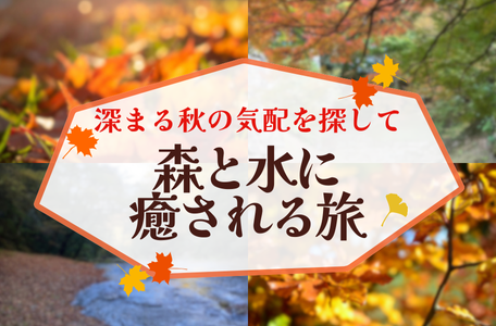 【スタッフのブログ】深まる秋の気配を探して:森と水に癒される旅