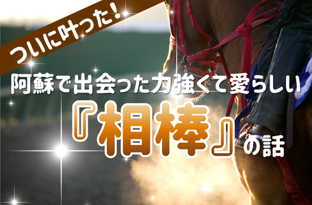 【スタッフのブログ】ついに叶った！阿蘇で出会った、力強くて愛らしい『相棒』の話🐴✨