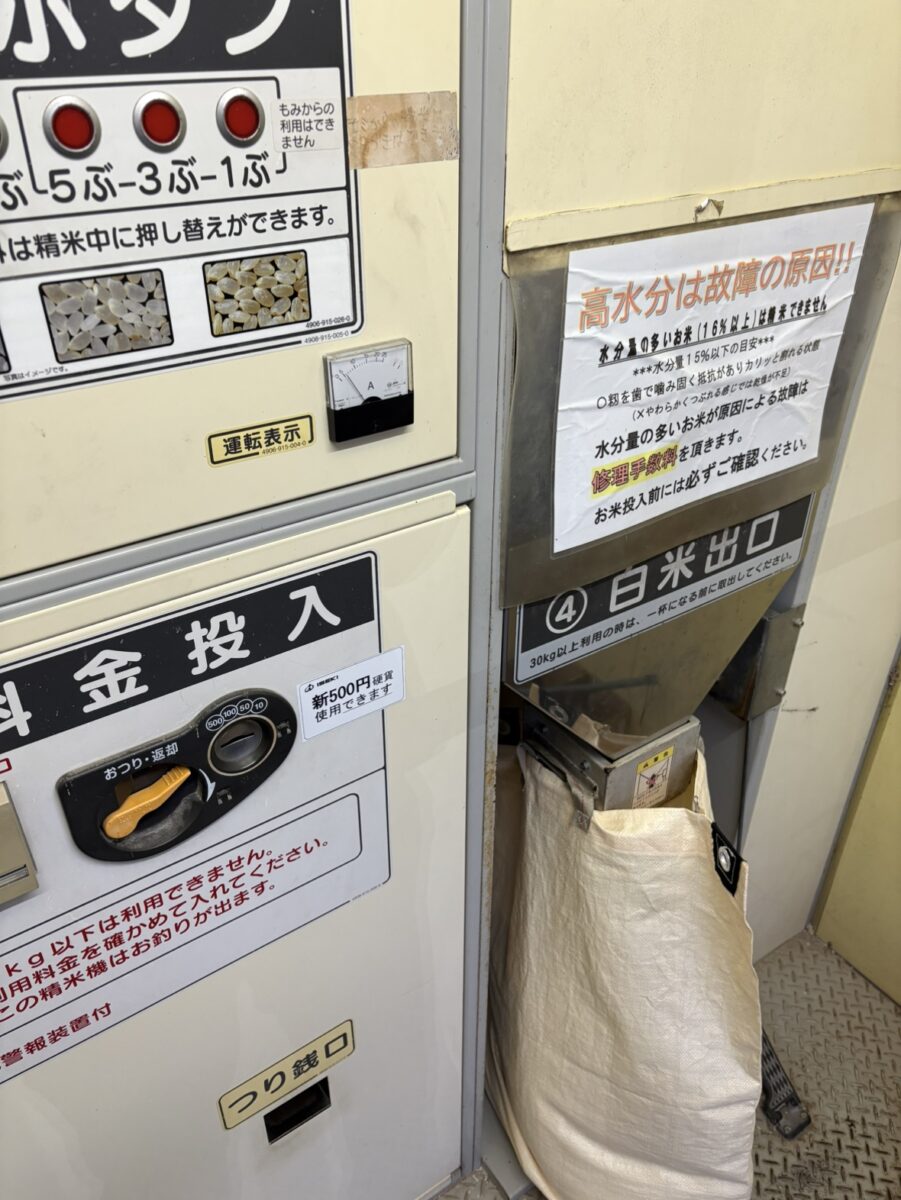 炊きたての新米