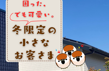 【スタッフのブログ】困った、でも可愛い。冬限定の小さなお客さま