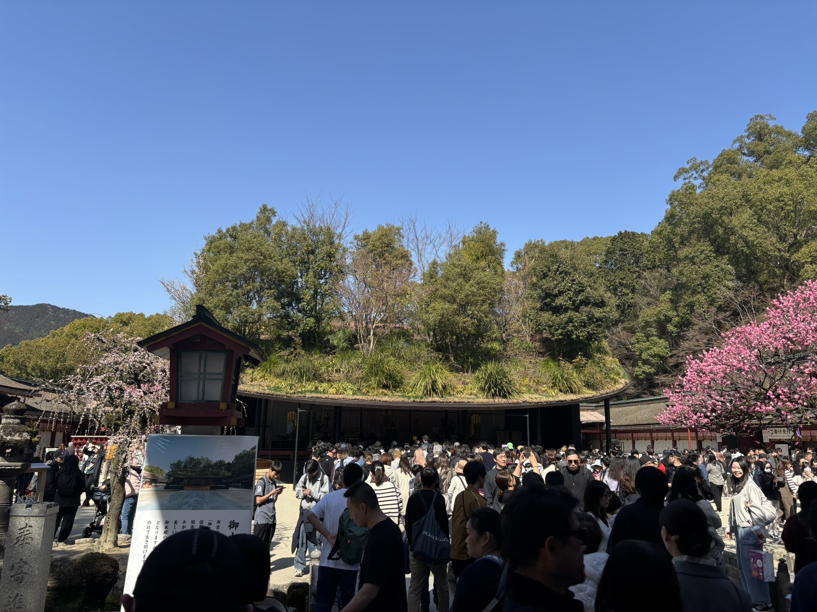 太宰府天満宮へ行ってきました