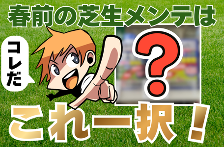 【スタッフのブログ】春前の芝生メンテはこれ一択！✨