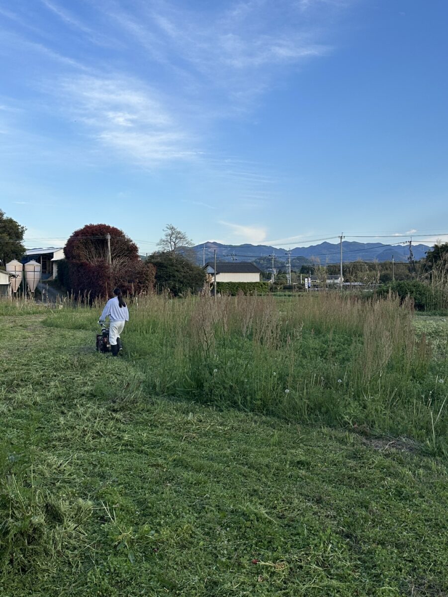 成長にびっくり！