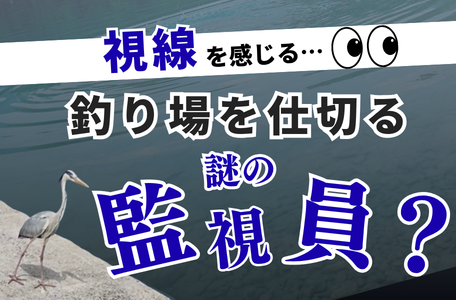 【スタッフのブログ】視線を感じる…、釣り場を仕切る謎の監視員？👀