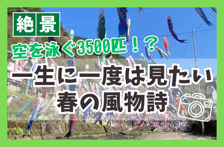 【スタッフのブログ】絶景！空を泳ぐ3500匹！？一生に一度は見たい春の風物詩
