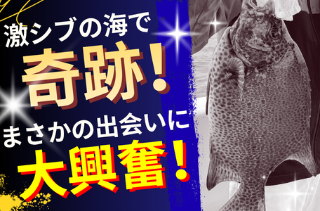 【スタッフのブログ】激シブの海で奇跡✨まさかの出会いに大興奮!