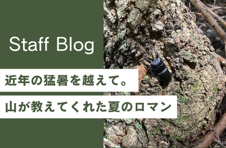 【スタッフのブログ】☀️ 近年の猛暑を越えて。山が教えてくれた夏のロマン 🌿