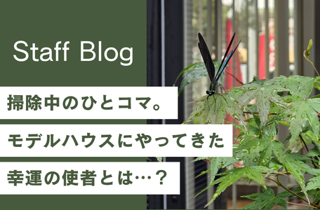 【スタッフのブログ】掃除中のひとコマ。モデルハウスにやってきた幸運の使者とは…? 🧹