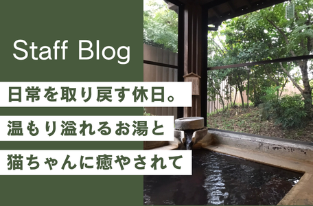 【熊本・植木】日常を取り戻す休日。温もり溢れるお湯と猫ちゃんに癒やされて 🐾♨️