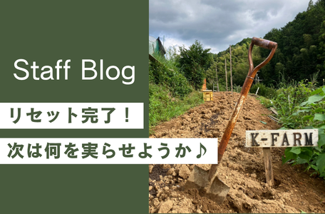 【土いじり】リセット完了!次は何を実らせようか♪🚜