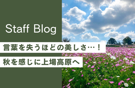 【鹿児島絶景】言葉を失うほどの美しさ…!秋を感じに上場高原へ🚗✨